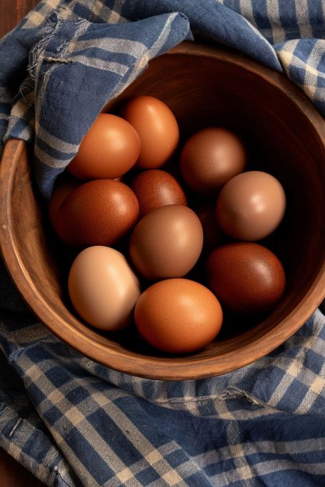 Chicken Eggs Aesthetic, Eggs Aesthetic, Egg Aesthetic, Cafe Ice Cream, Herbs For Chickens, Egg Pictures, Chicken Nesting Boxes, Chicken Treats, Chicken Health