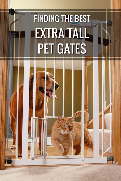 Finding The Best Tall Pet Gate For Your Home In 2016: Despite your best efforts pets can be very resourceful in getting around barriers that you set for them. Having a way to successfully coral your fur baby in your home can save you headaches and make sure your pet doesn’t get into anything off-limits. An extra tall pet gate can be an extremely useful resource for keeping your pet out of trouble inside the house. Extra Tall Pet Gate, Tall Pet Gate, Cat Gate, Pet Gates, Pvc Pipe Projects, Dog Room, Cat Things, Dog Rooms, Pet Gate