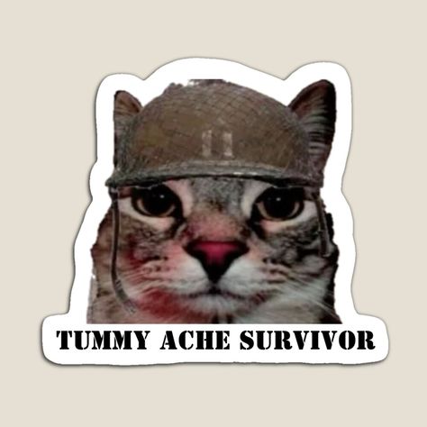 Get my art printed on awesome products. Support me at Redbubble #RBandME: https://www.redbubble.com/i/magnet/Tummy-Ache-Survivor-War-Cat-Stare-by-ConstoStore/160103334.TBCTK?asc=u Tummy Ache Survivor, Tummy Ache, Stomach Ache, Vinyl Decal Stickers, Awesome Products, Vinyl Decal, Magnets, Vinyl, Cars