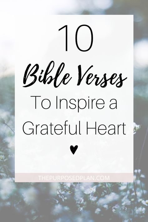 Use these gratitude bible verses and scriptures to inspire a grateful heart within yourself #grateful #thankful #bibleverse #scripture Thank You Quotes Gratitude Christian, Bible Verse About Gratefulness, Scriptures About Thankfulness, Thank You Bible Verse Scriptures, Scriptures On Thankfulness, Scriptures For Thankfulness, Bible Thankful Quotes, Grateful Quotes Bible, Thankful Life Quotes