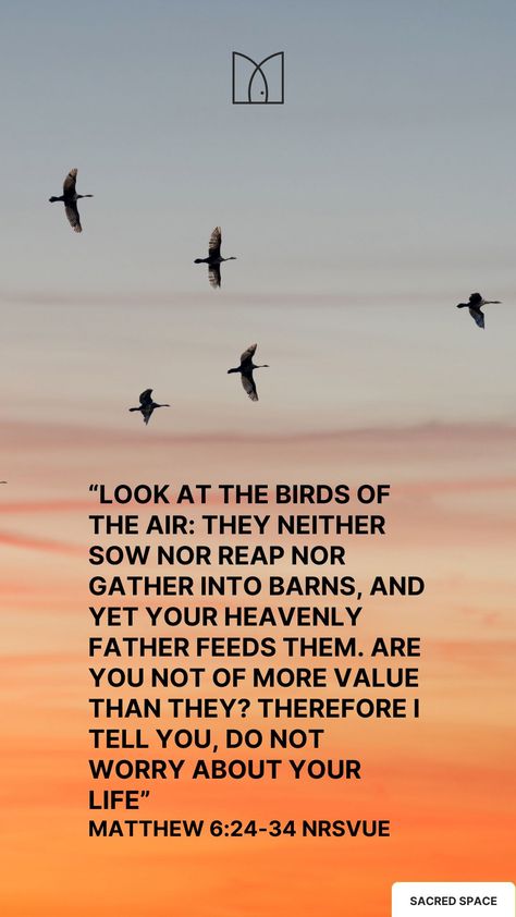 Do Not Worry  “So do not worry about tomorrow, for tomorrow will bring worries of its own. Today’s trouble is enough for today.  Matthew 6:24-34 NRSVUE  #relaxation #faith #donotworry Do Not Worry Scripture, Don't Worry Bible Verse, Don't Worry About Anything Instead Pray About Everything, Look At The Birds Bible Verse, Do Not Worry About Tomorrow, Don’t Worry About Tomorrow Scripture, Bible Reflection, Do Not Worry, St Ignatius