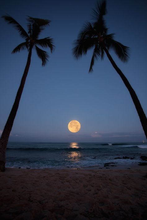 Kailua Kona Hawaii, Moon In The Sky, Kona Hawaii, Shoot The Moon, The Full Moon, Beautiful Moon, Chiaroscuro, Big Island, Vacation Spots