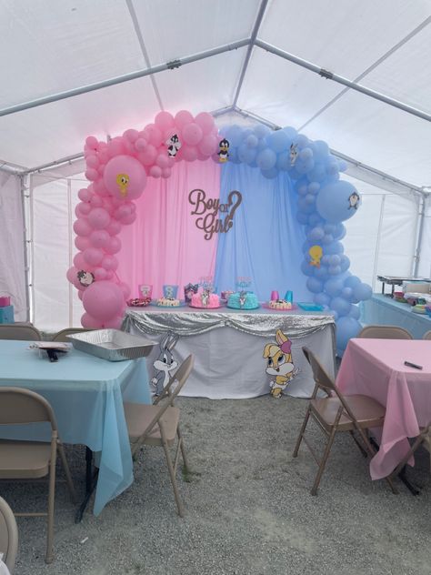 Bugs Bunny And Lola Gender Reveal, Lola Or Bugs Gender Reveal Decorations, Looney Tunes Gender Reveal Ideas, Bugs Or Lola Gender Reveal, Bugs Bunny Gender Reveal, Lola And Bugs Bunny Gender Reveal, Lola Or Bugs Gender Reveal, Bunny Gender Reveal, Bunny Gender