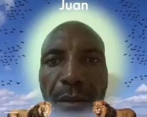 Juan Juan Meme, Iphone Stickers, Don Juan, Weird Pictures, Artistry Makeup, Album Covers, Humor, Memes, Funny