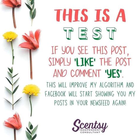 Scentsy Graphics, Interactive Posts Facebook, Scentsy Hacks, Scentsy Go, Scentsy Pods, Scentsy Pictures, Scentsy Consultant Business, Interactive Post, Interactive Facebook Posts