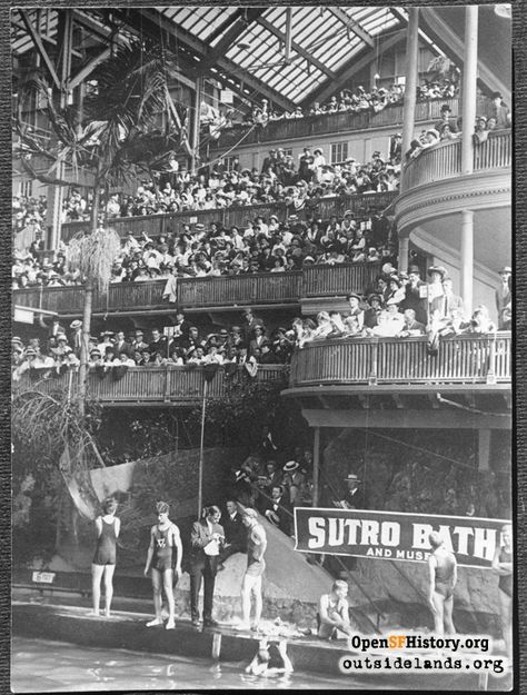 Many great vintage photos of San Francisco's play areas in the early 20th century Cliff House San Francisco, Sutro Baths San Francisco, Old San Francisco, Steampunk Elements, San Francisco Zoo, Beach Chalet, Sutro Baths, Visit San Francisco, Vintage San Francisco