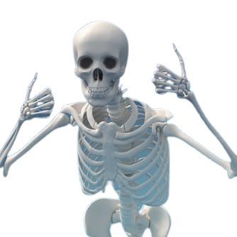 Goofy Ahh Skeleton, Skeleton Profile, Goofy Skeleton, Posing Skeletons, Skeleton Background, Skeleton Pfp, Skeleton Meme, Silly Skeleton, Mexican Skeleton