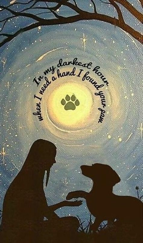 Dog Quotes Love Meaningful, Dog Heaven Quotes, Miss My Dog, Random Pfp, Dog Poems, Dog Quotes Love, Dog Heaven, 강아지 그림, Gothic Revival