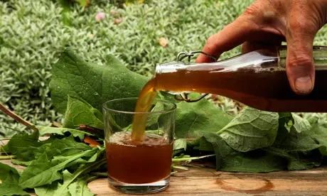 Dandelion And Burdock, Foraging Recipes, Edible Wild Plants, Homemade Wine, Burdock Root, Fermented Drink, Natural Drinks, Dandelion Recipes, Wild Edibles