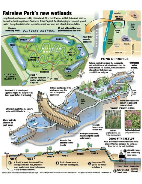 Wetland Restoration, Frog Habitat, Lake Landscaping, Retention Pond, Urban Design Graphics, Ecology Design, Urban Forest, Pond Landscaping, Natural Swimming Pools