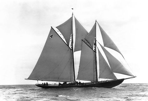 Bluenose Ship, Bluenose Schooner, Sailboat Wedding, Bank Fishing, Classic Sailboat, Naval Architecture, Working Boat, Classic Sailing, Old Sailing Ships