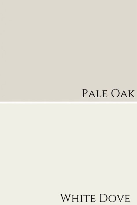 White Dove And Pale Oak, Pale Oak Walls White Dove Trim, Pale Oak Trim, Pale Oak And White Dove, White Dove Trim, White Dove Walls, Benjamin Moore Pale Oak, White Dove Benjamin Moore, Pale Oak