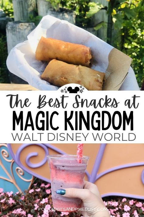 Magic Kingdom Snacks, Magic Kingdom Food, The Best Snacks, Best Snacks, Disneyland Food, Disney Treats, Disney World Vacation Planning, Disney 2024, Disney World Restaurants