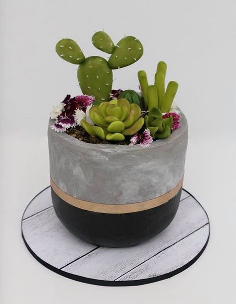 Shaped Birthday Cake, Flower Pot Cake, Learn Cake Decorating, Succulent Cake, Black Fondant, Almond Shaped Eyes, Cactus Party, 3rd Birthday Cakes, Cake Board