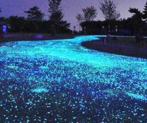 Make your driveway look like something out of a fairy tale with these glow stones. This unique gravel is available in both blue and green hues, it will glow in the dark for up to 12 hours, and is perfect for transforming the look of your home into something of a magic land. Patio Redo, Garden Pebbles, Backyard Renovation, Cozy Ideas, Dark Garden, Glow Stones, Stone Driveway, Ground Pools, Cottage Gardens