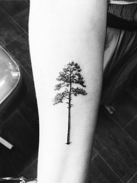 Tall Tree Tattoo, Long Leaf Pine Tattoo, Scots Pine Tattoo, Tattoos For Guys Simple, Tree Arm Tattoo, Tree Tatoos, Scott Tattoo, Simple Tree Tattoo, Tree Tat