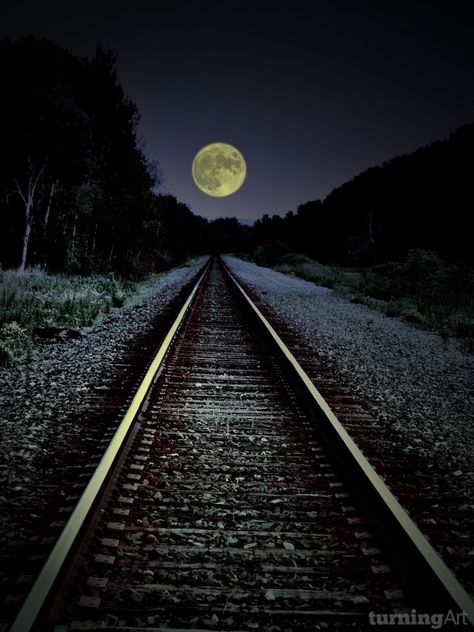 Cer Nocturn, Moon In The Sky, Shoot The Moon, Moon Pictures, Beautiful Moon, Train Tracks, A Train, Sunrise Sunset, Beautiful World