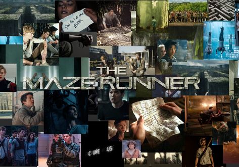 Maze Runner Laptop Wallpaper, Maze Runner Wallpaper, Runner Wallpaper, Laptop Wallpapers, Newt Maze Runner, Laptop Backgrounds, The Maze Runner, Film Posters Vintage, Newt