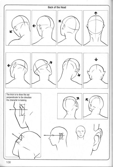 How To Draw A Head From Behind, How To Draw Back Of Head, Head Back Drawing Reference, Manwha Head Reference, How To Draw A Head From The Back, Head From The Back Drawing, Back Of Head Reference Drawing, Man Tilting Head Back, The Back Of Someones Head Drawing