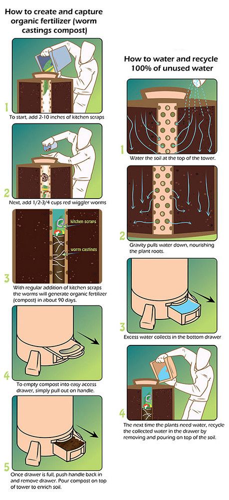 Worm Tower, Red Wiggler Worms, Garden Tower, Worm Composting, Worm Farm, Tower Garden, Garden Compost, New Garden, Hydroponic Gardening