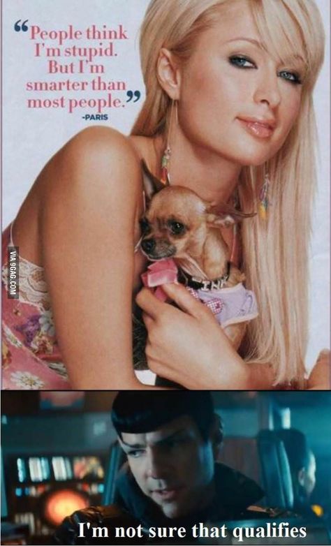 Stupidity simply can't be justified nor can it qualify to be amongst intellectual thoughts. Paris Hilton Dog, Paris Hilton Quotes, Paris Hilton Aesthetic, Paris And Nicole, Bad Quotes, New Poster, Quote Stickers, Paris Hilton, Just Girly Things