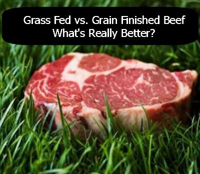 What's really better? Grass fed or Grain Finished? The answer will probably surprise you! | www.clovermeadowsbeef.com #farmfresh #STL #grassfedbeef Grass Fed Beef Benefits, Organic Meat, Grass Fed Meat, High Fat Foods, Steak Sauce, Eat Fat, Clean Living, Grass Fed Beef, Health Diet