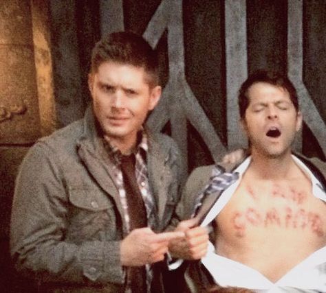 Spn Memes, Supernatural Actors, Jensen And Misha, Supernatural Pictures, Winchester Supernatural, Supernatural Destiel, Supernatural Memes, Supernatural Fans, Supernatural Funny