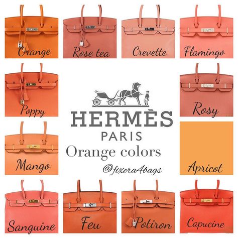 Hermes Birkin Colours, Hermes Colors, Kelly Bag, Cheap Handbags, Hermes Paris, Hermes Handbags, Cute Purses, Hermes Bags, Hermes Bag