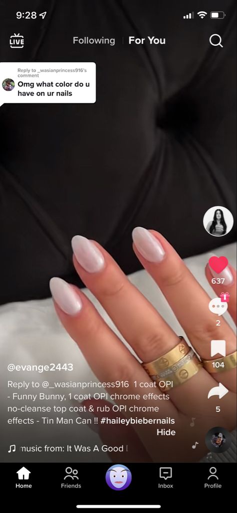 Hailey Bieber Nails Funny Bunny, Funny Bunny, Tin Man, Funny Bunnies, Minimalist Nails, Dream Nails, Nail Color, Chrome Nails, Hailey Bieber