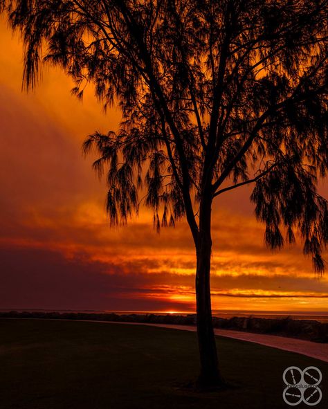 ITAP of a fiery sunset Fiery Sunset, Sunrise Sunset, Beautiful Pictures