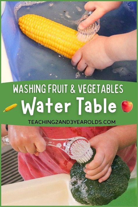 Work on fine motor skills with this fruits and vegetables theme water play activity. Toddlers love using small scrub brushes, sponges, and washcloths with warm soapy water! #fruits #vegetables #finemotor #waterplay #sensory #toddlers #preschool #2yearolds #teaching2and3yearolds Fruits And Vegetables Science Activities, Vegetable Fine Motor Activities, Preschool Fruit Salad Activities, Fruit And Veggie Crafts For Toddlers, Healthy Eating Crafts For Toddlers, Fruits Theme Preschool, Vegetables Kids Will Eat, Food Themed Activities For Toddlers, Vegetables Activities For Toddlers