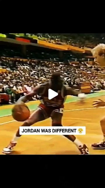 TheBallingHub on Instagram: "What is your favorite Jordan highlight?🤔 . . Follow @theballinghub for more videos . . #legend #motivation #nike #nba #basketball #instagood #ballislife #kobe #dunk #instadaily #jordan #hoops #bball #basket #hype #curry #lebronjames #blackmamba #nbaedits #kobebryant #fit #workout #usa #winner #skills #nbaedits #viral #handles #sports #reel" Sports Motivation, Nba Video, Funny Sports Videos, Funny Basketball, Hilarious Videos, Basketball Players Nba, Basketball Videos, Nike Nba, Basketball Skills