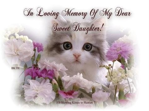 memories of my Daughter I Miss My Daughter, Have A Beautiful Sunday, Sunday Pictures, Sunday Greetings, Sunday Images, Loved One In Heaven, Beautiful Kittens, Happy Sunday Quotes, Blessed Sunday