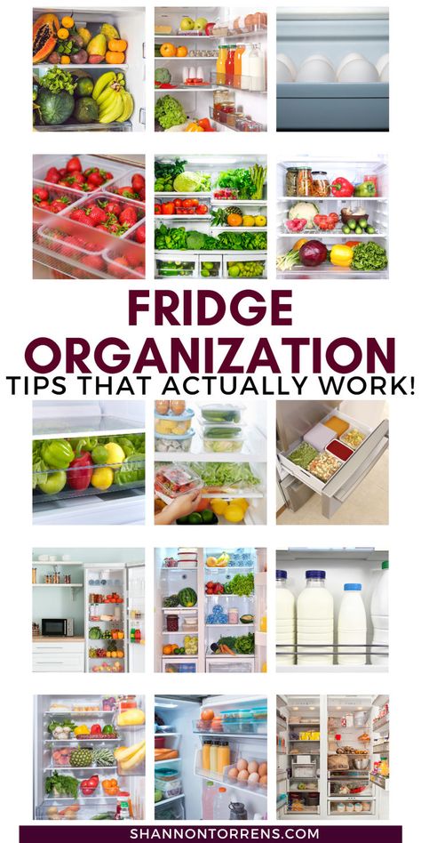 fridge organization ideas Organized Refrigerator Ideas, Refrigerator Organization Ideas, Messy Fridge, Moldy Food, Organized Refrigerator, Organization Refrigerator, Fridge Organization Ideas, Refrigerator Ideas, Organization Garage