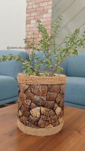 Coconut Shell Crafts, Upcycle Diy, Plants Diy, Diy Planter, Coconut Shells, Plant Pot Diy, Flower Pot Design, Fleurs Diy, Upcycled Bag