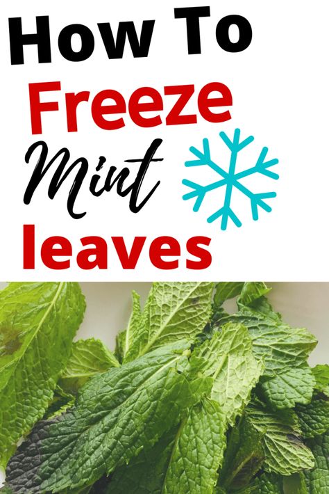 Freezing Mint Leaves, How To Freeze Mint Leaves, How To Keep Mint Leaves Fresh, Mint Leaves Recipe, Baking Substitutions, Store Fresh Herbs, Freeze Avocado, Freezing Vegetables, Provident Living