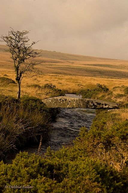 Dartmoor, Devon, England, UK Dartmoor England, Devonshire England, Dartmoor Devon, Dartmoor National Park, Devon Uk, Lone Tree, Devon England, Stone Bridge, Wuthering Heights