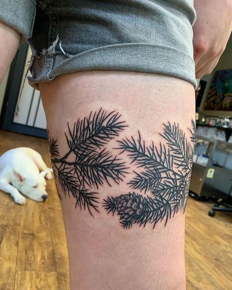 Botanical Cuff Tattoo, Pine Bough Tattoo, Pine Tree Branch Tattoo, Pine Leaf Tattoo, Conifer Tattoo, Tattoo Pinecone, Blue Spruce Tattoo, Wildlife Tattoo Sleeve, Pine Needle Tattoo