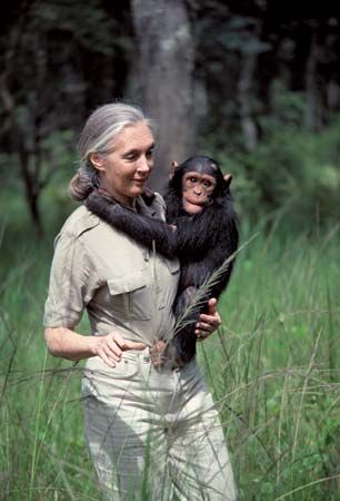 Jane Goodall | Biography & Facts | Britannica.com Zoologist Aesthetic, Woman With Animals, Murakami Haruki, Conservation Biology, Wildlife Biologist, Zoo Keeper, Jane Goodall, Animal Liberation, Wildlife Conservation