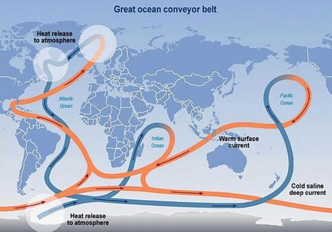 Some Of The Science Behind The Ridiculous Movie 'The Day After Tomorrow' Is Now Coming True Hydrological Cycle, Atmospheric Circulation, Stream Water, The Day After Tomorrow, Ocean Currents, Weather Science, Ocean Current, Gulf Stream, Sea Level Rise