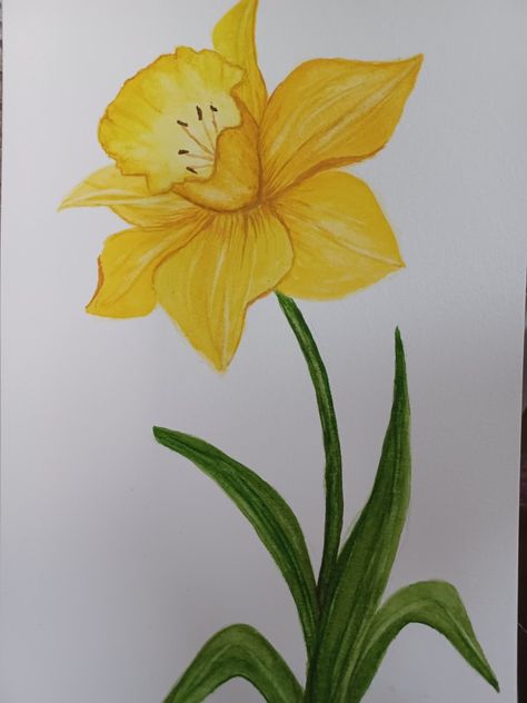 Yellow Daffodils Painting, Dafadills Flowers Drawing, Daffodil Painting Easy, Dafodill Flowers Drawing, Daffodil Paintings, Daffodils Drawing, Daffodil Drawing, Yellow Vibe, Flower Tote