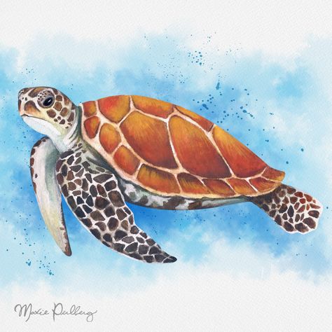 Sea Turtle Drawing, Sea Turtle Pictures, Sea Turtle Watercolor, Sea Turtle Painting, Turtle Watercolor, Turtle Drawing, Sea Turtle Art, Water Drawing, Turtle Painting