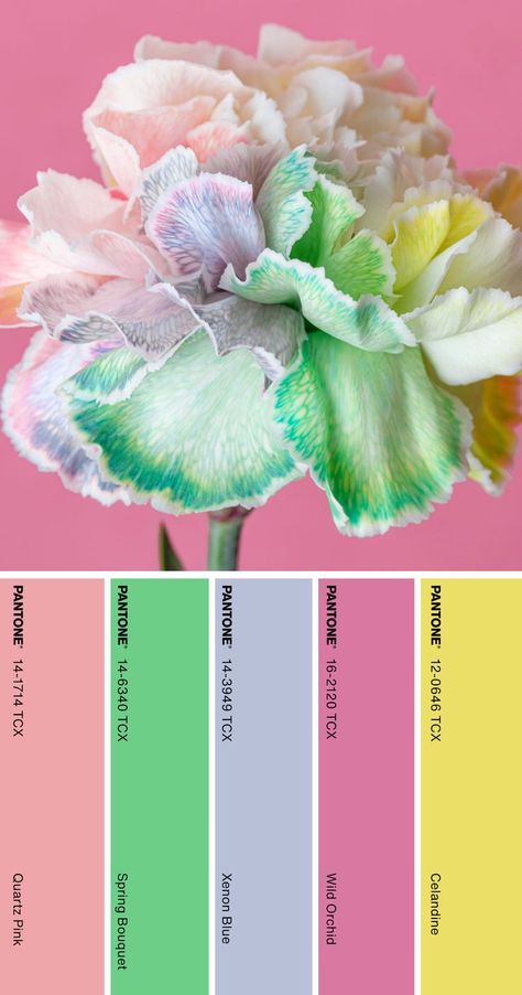 Pantone Color Palette #pantone #color #palette Color Palette Pantone, Pantone Cards, Pantone Color Palette, Color Thesaurus, Cupcake Flowers, Color Seasons, Palette Challenge, Pantone Colour Palettes, Color Palette Challenge