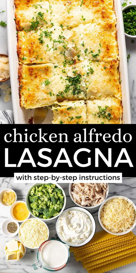 The Easiest Chicken Alfredo Lasagna (with Homemade Sauce!) Noodles With Cheese, Utah Recipes, Shredded Rotisserie Chicken, Chicken Alfredo Lasagna, Alfredo Lasagna, Night Recipes, Pasta Chicken, Chicken Lasagna, Homemade Alfredo Sauce