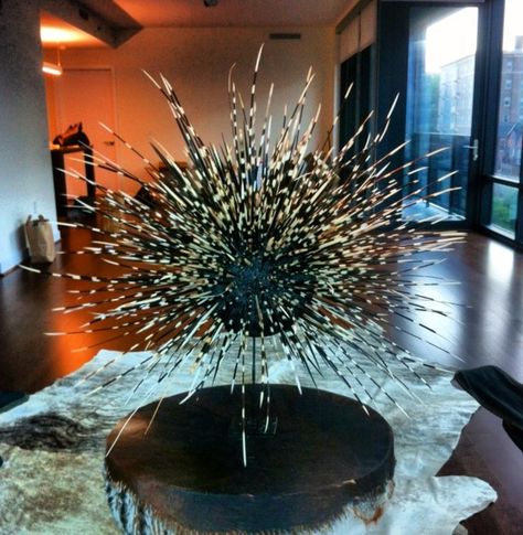 I made this sculpture out of 595 South African porcupine quills that I got from my recent trip to Africa!! I painted a 10 inch styrofoam ball black then stuck the quills in; put it all on a metal stand a waaaalllaaa!!! African Porcupine, Httyd Oc, Trip To Africa, Porcupine Quills, Taxidermy Mounts, Styrofoam Ball, Metal Stand, A Metal, Httyd