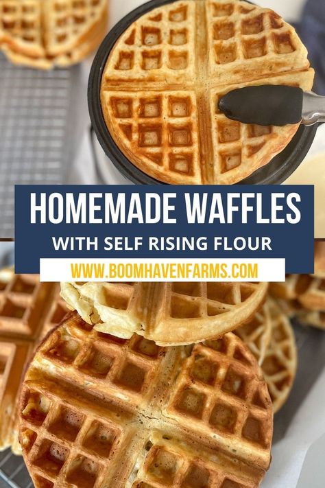 Waffle Recipe Self Rising Flour, Einkorn Waffles, Waffle Mix Recipes, Best Waffle Recipe, Friendship Bread Recipe, Homemade Breakfast Recipes, Friendship Bread Starter, Einkorn Recipes, Amish Friendship Bread