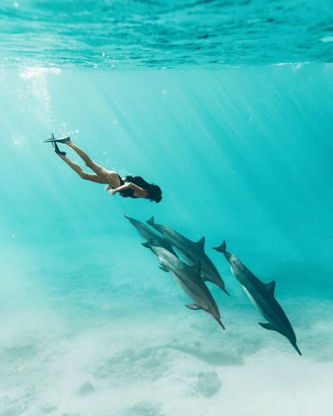 Swimming In The Ocean, Underwater Photos, Ocean Vibes, Hawaii Beaches, Future Travel, Underwater Photography, In The Ocean, Travel Goals, Travel Inspo