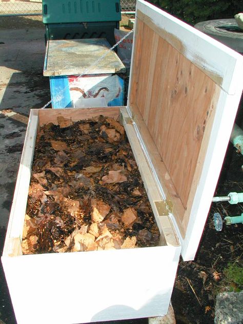 Composting Chicken Manure - Tilth Alliance Composting With Chickens, Chicken Compost Pile, Composting Horse Manure, Chicken Manure Compost, Benefits Of Chicken, Horse Manure Compost, Composting Methods, Chicken Manure, Worm Bin