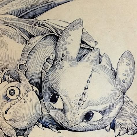 Kang Meng, Toothless Sketch, Toothless Drawing, Httyd Art, Drawing Stars, Arte Grunge, Dragon Sketch, Train Your Dragon, Dragon Artwork