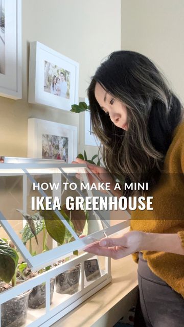 Herb Greenhouse Mini, Mini Indoor Greenhouse Diy, Diy Balcony Greenhouse, Indoor Herb Greenhouse, Indoor Herb Garden Diy Mini Greenhouse, Indoor Greenhouse Ikea, Ikea Plant Hack, Plant Greenhouse Indoor, Diy Tabletop Greenhouse